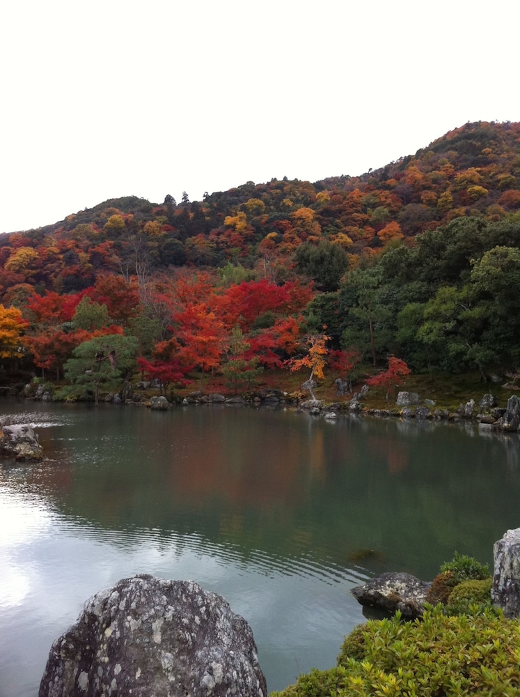 Hotel Livemax BUDGET Kyoto Ekimae 42/49