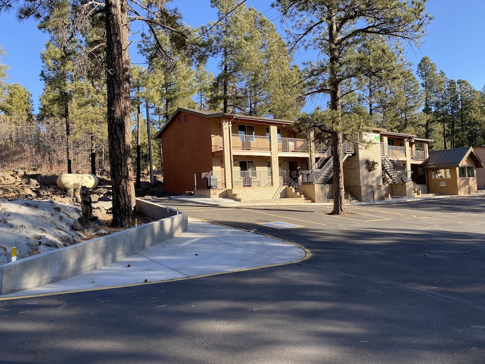 Motel In The Pines 16/41