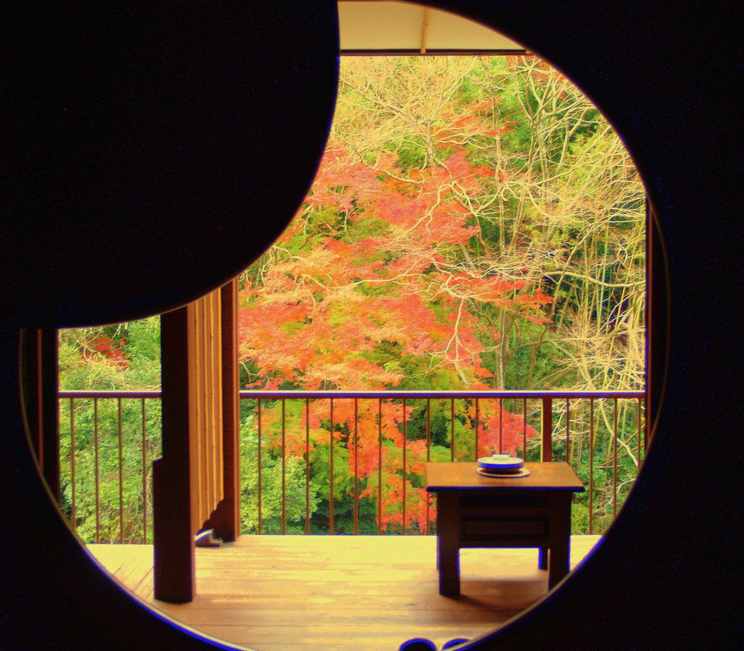 Hakone Tonosawa Onsen Shiunso 48/50