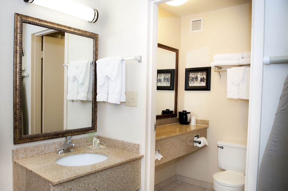 Holiday Inn Spearfish-Convention Center 13/55