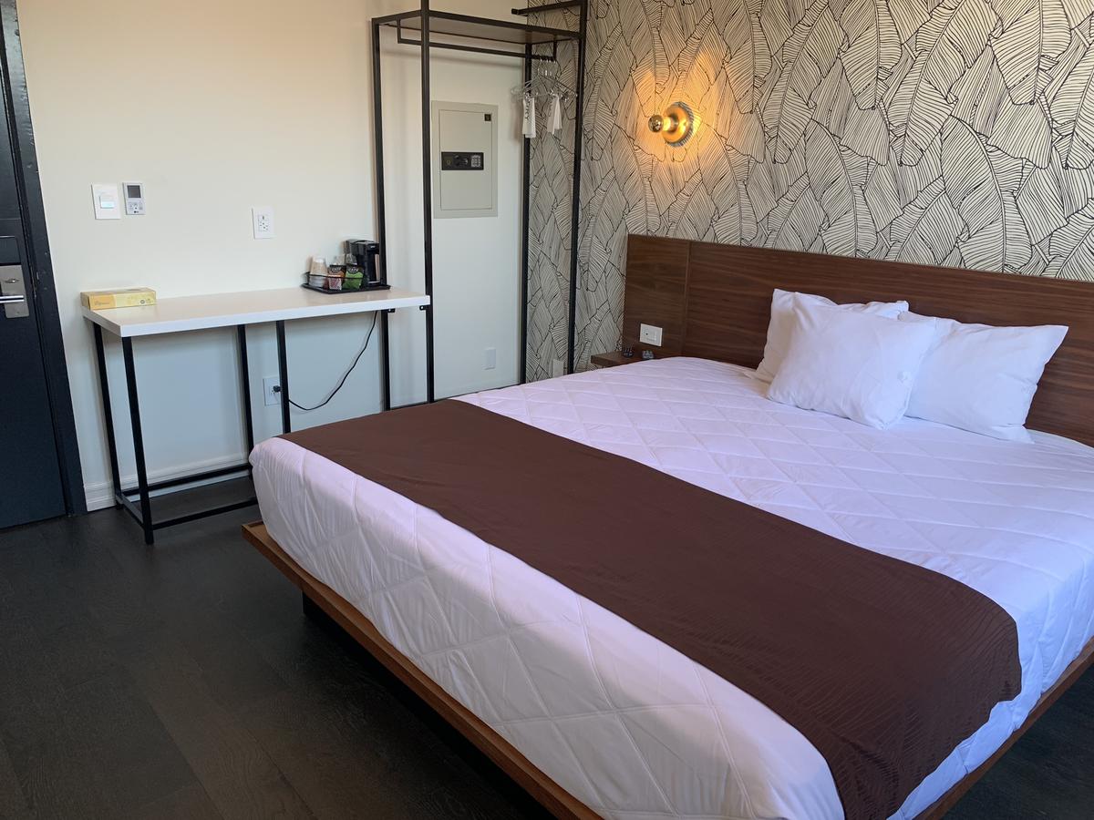 1 Bedroom, Suite
