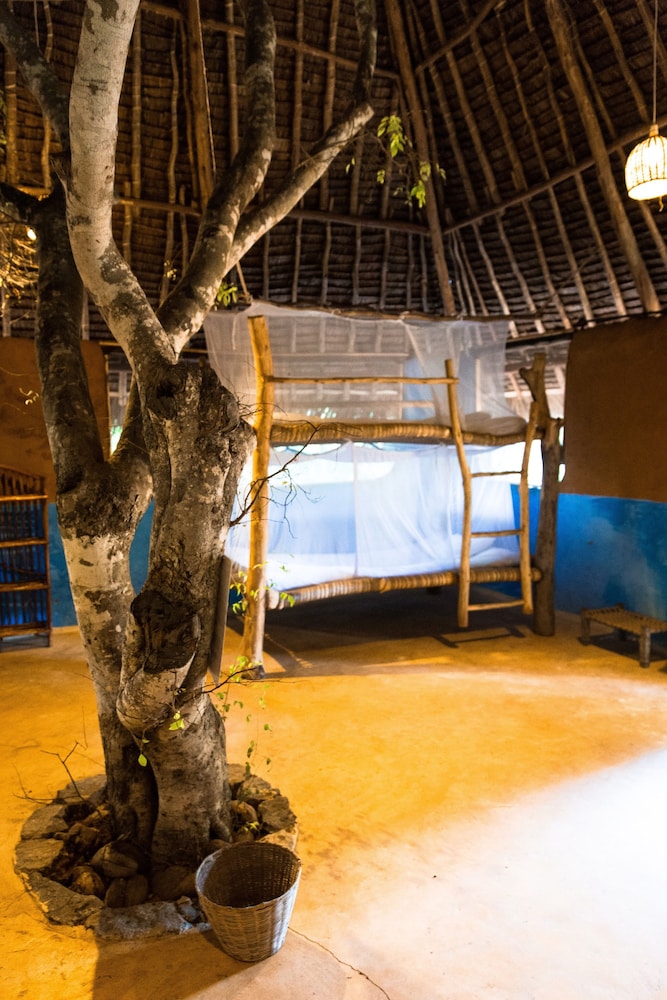 DISTANT RELATIVES ECOLODGE & BACKPACKERS 15/50