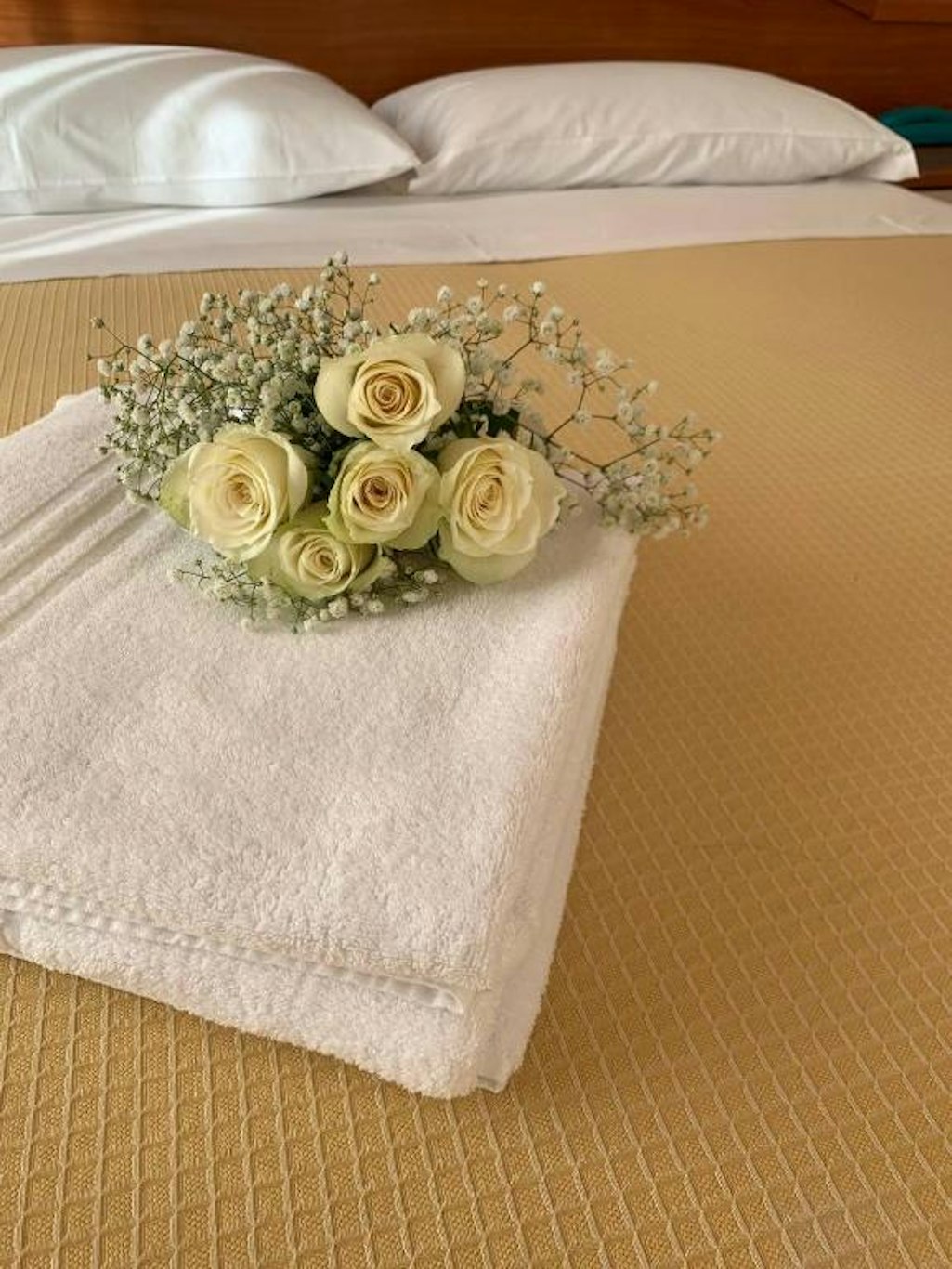 Hotel Villa Caterina 13/20