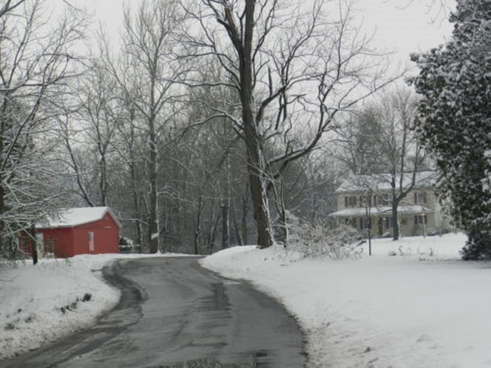 Red Cardinal Bed and Breakfast 19/27