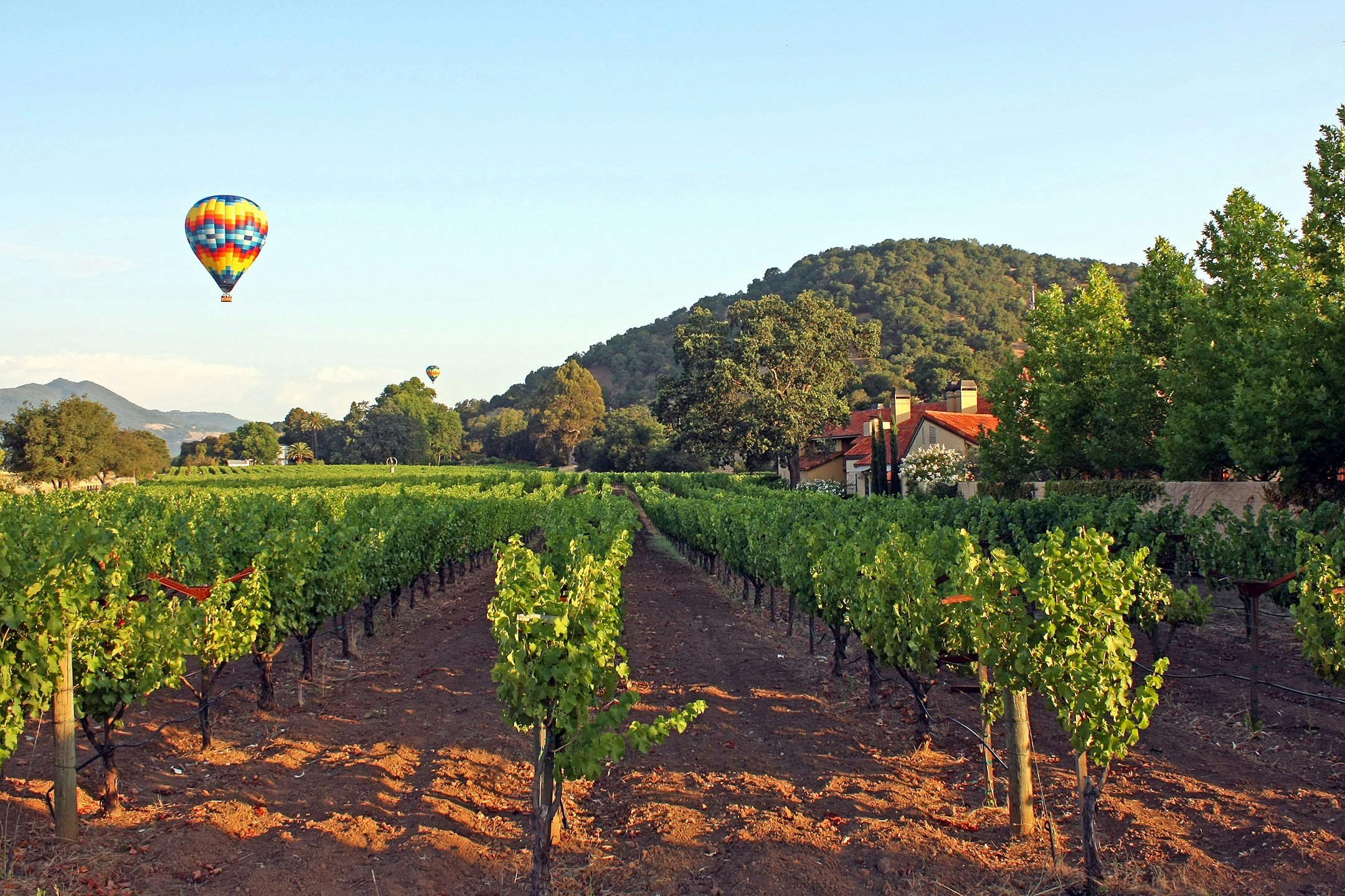 Napa Valley Lodge 50/58