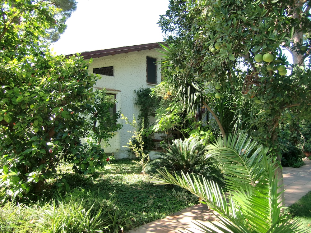 Hotel Happy Caretta 26/47