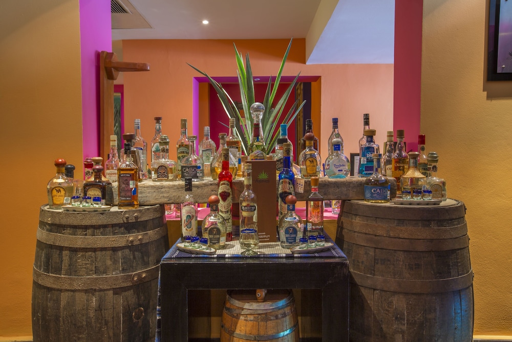 棕榈绿洲全包酒店(Grand Oasis Palm All Inclusive) 图片3