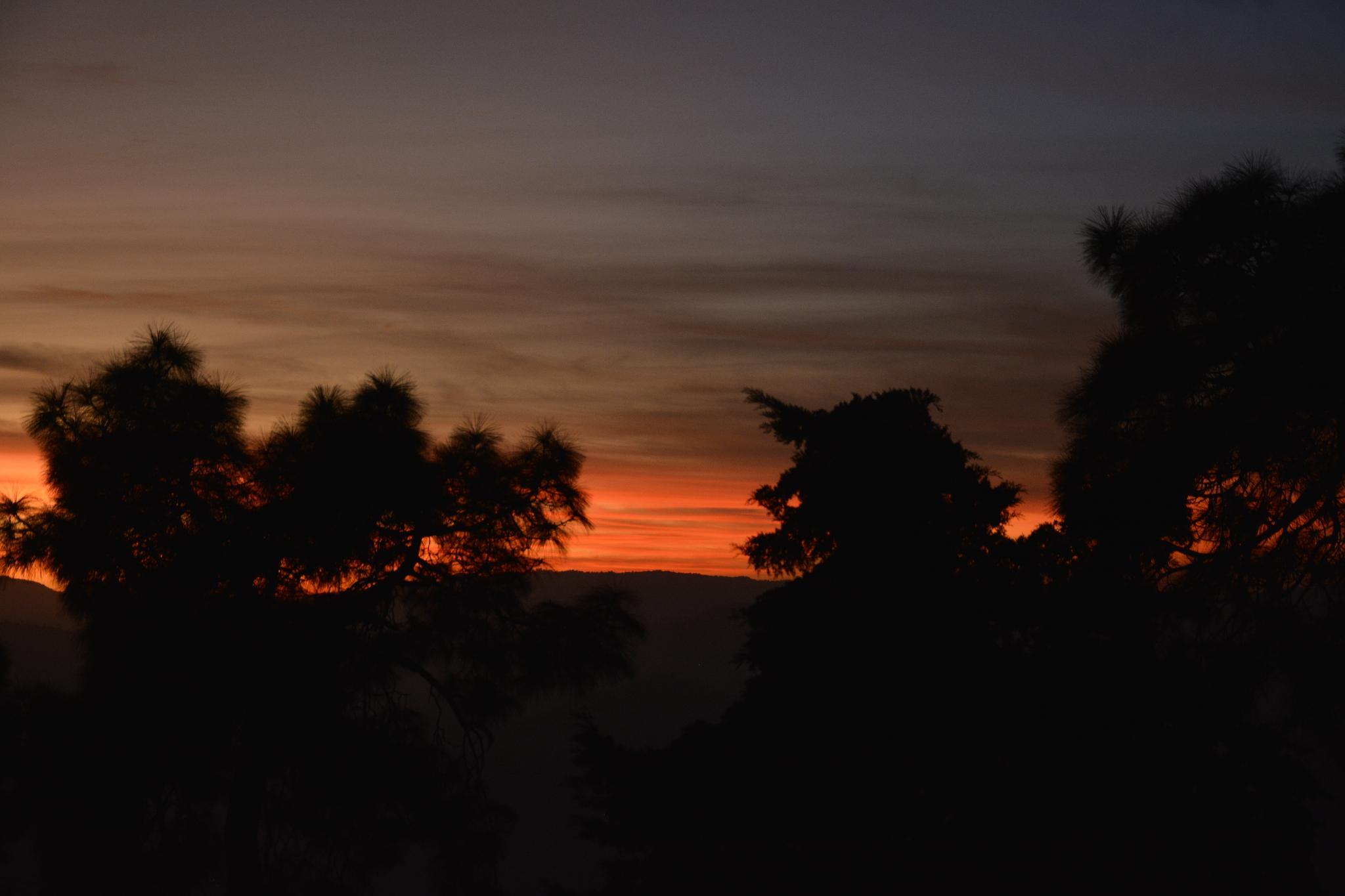 Mohans Binsar Retreat 20/24