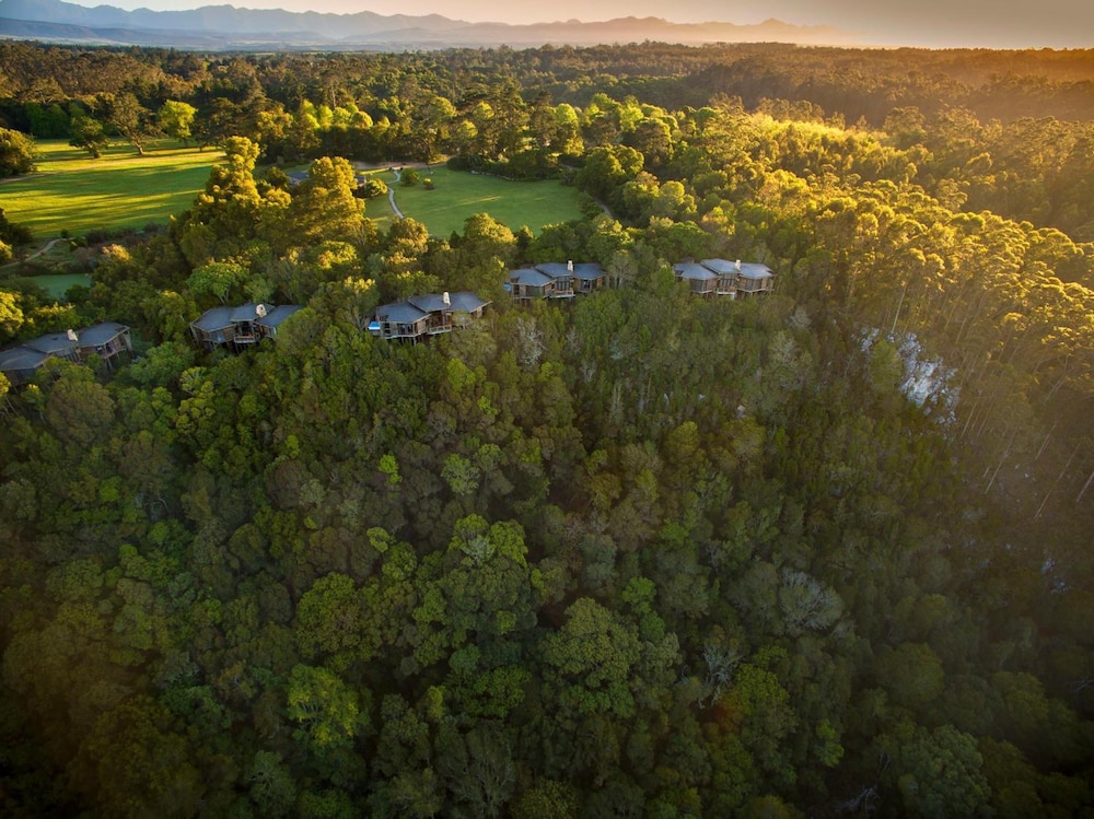 Tsala Treetop Lodge 36/50