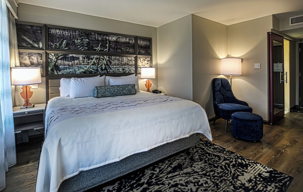 Hotel Indigo Birmingham Five Points S Uab 9/47
