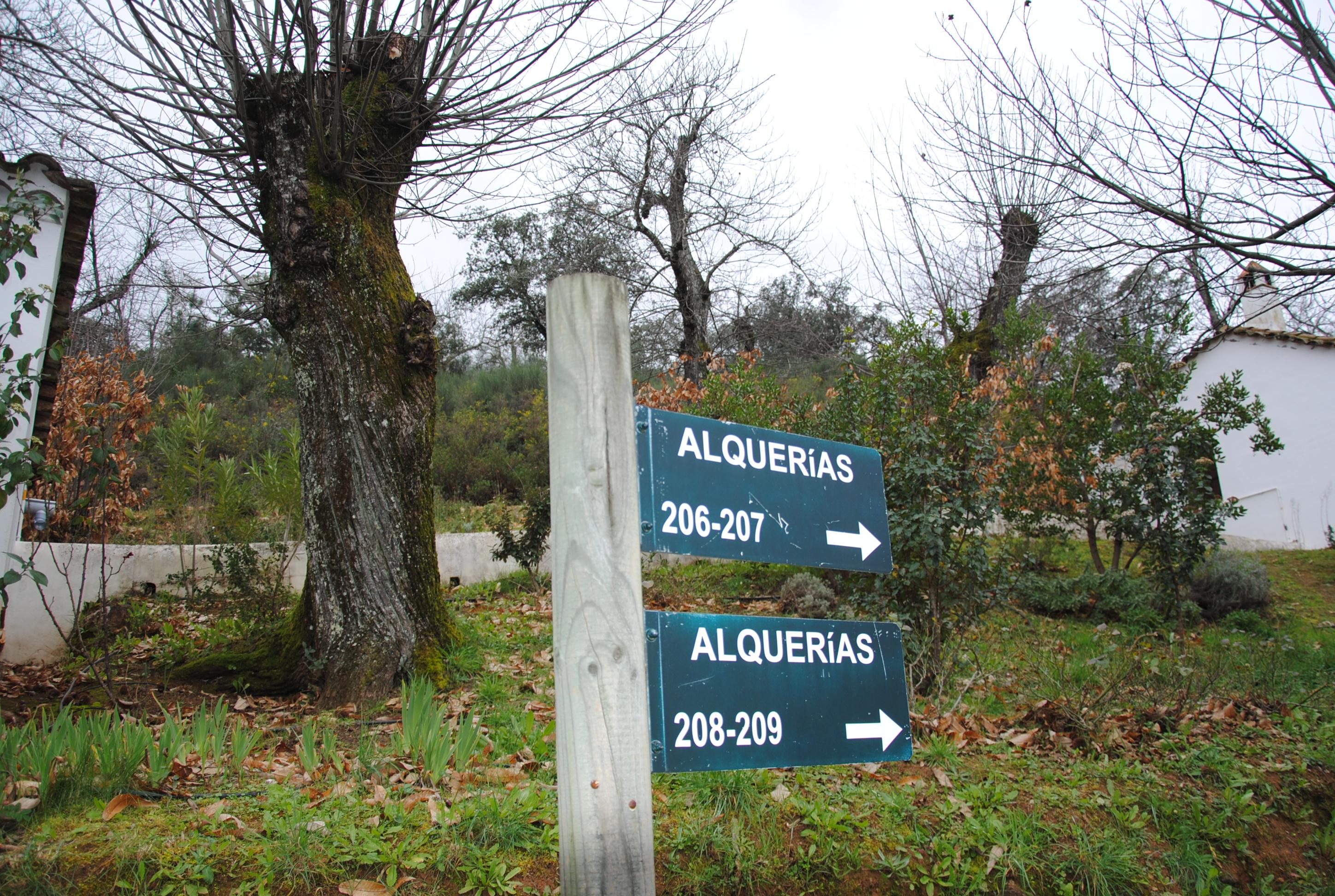 Finca Valbono 7/49