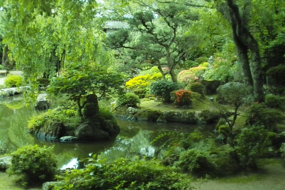 Chikurin In Gumpoen 45/50