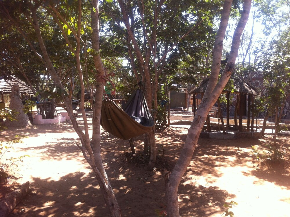 Bananyana Backpackers 19/26