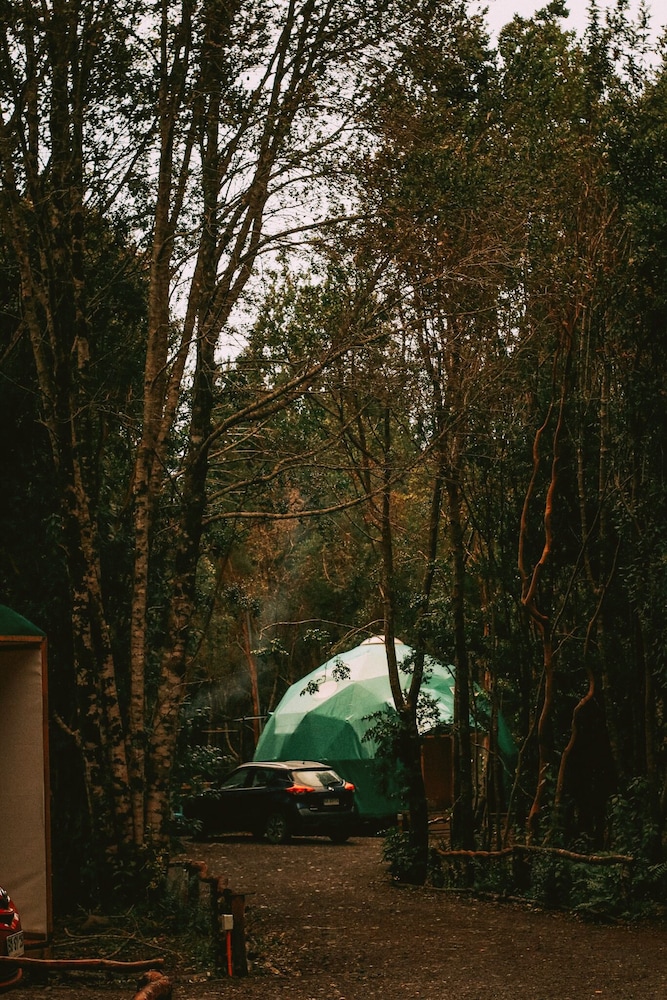 Cabanas Anulen Bosque Nativo 40/49