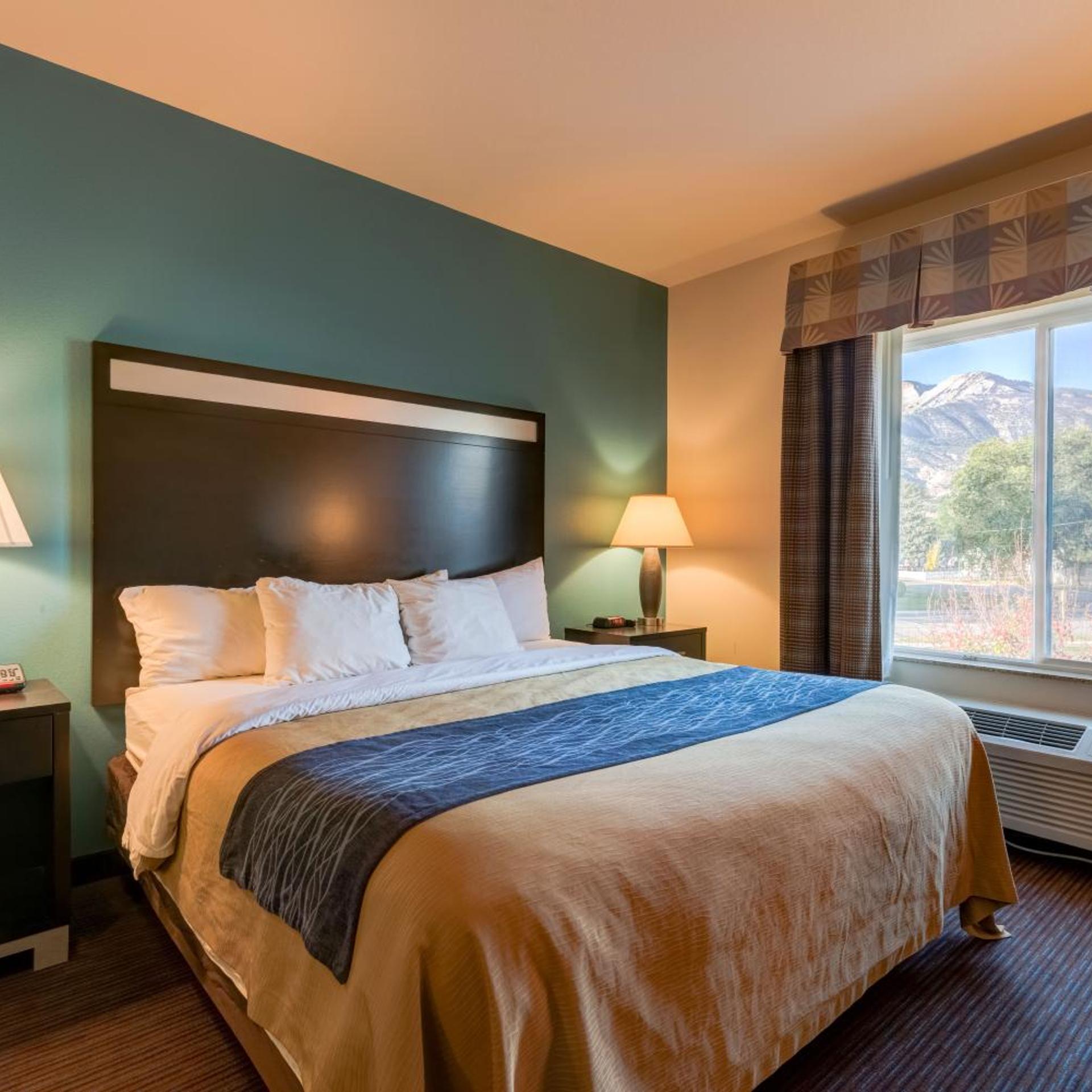 Suite, King Bed