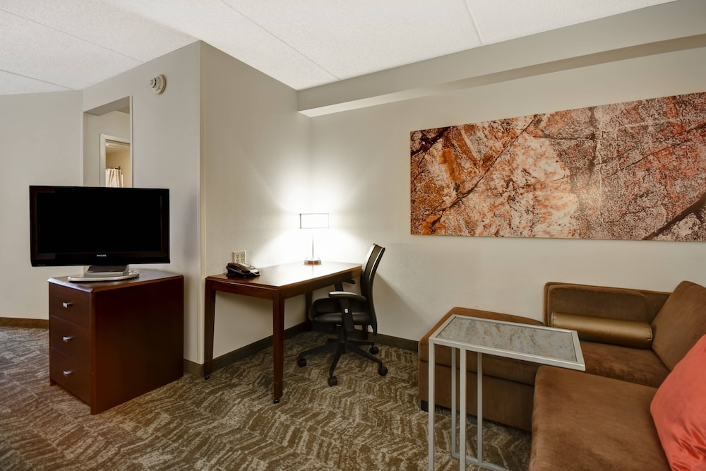 Springhill Suites by Marriott Louisville Airport 33/48