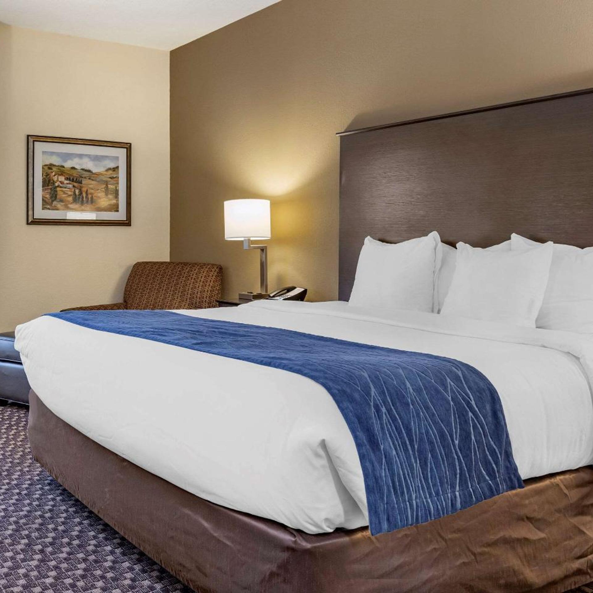 غرفة بسرير كينج بحوض استحمام لذوي الإعاقة، Comfort Inn Wings Stadium 2/10