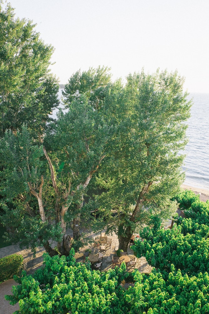 Tzaki Hotel 39/42