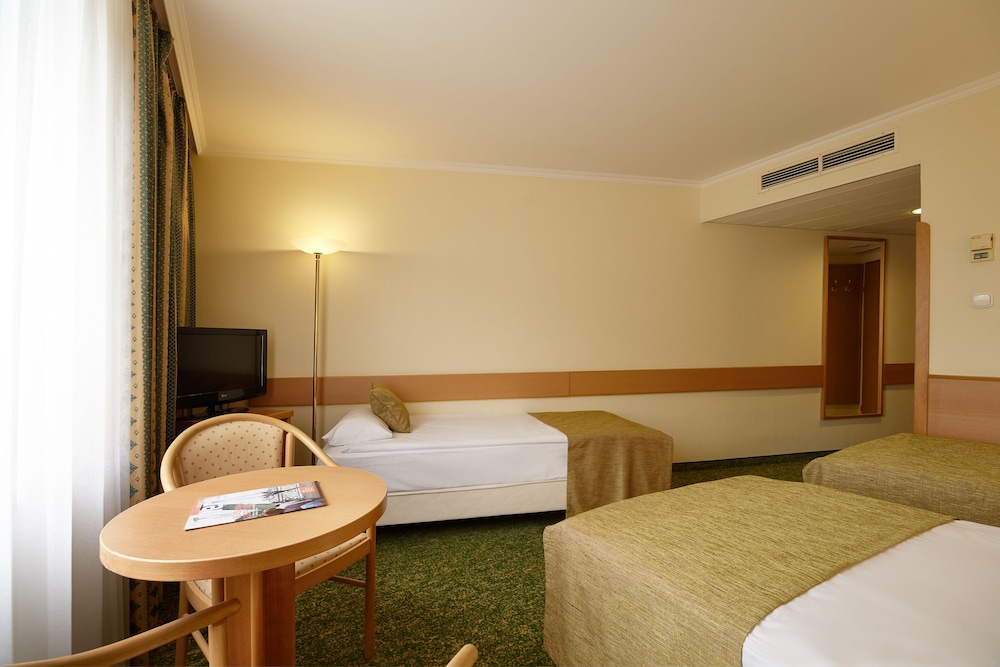 Hotel Erzsebet City Center 10/57