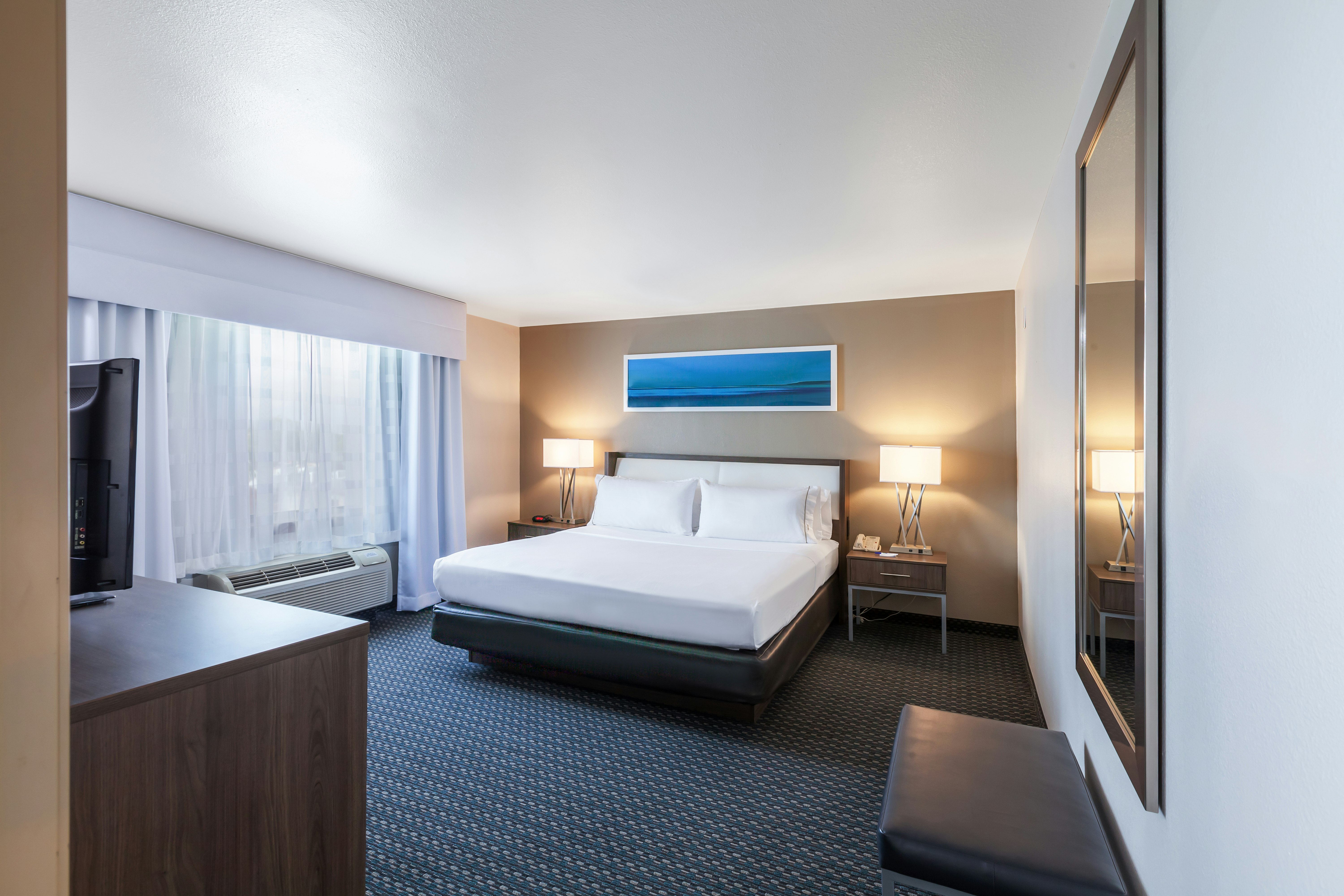 Holiday Inn Express Hotel And Suites Pharr 17/40