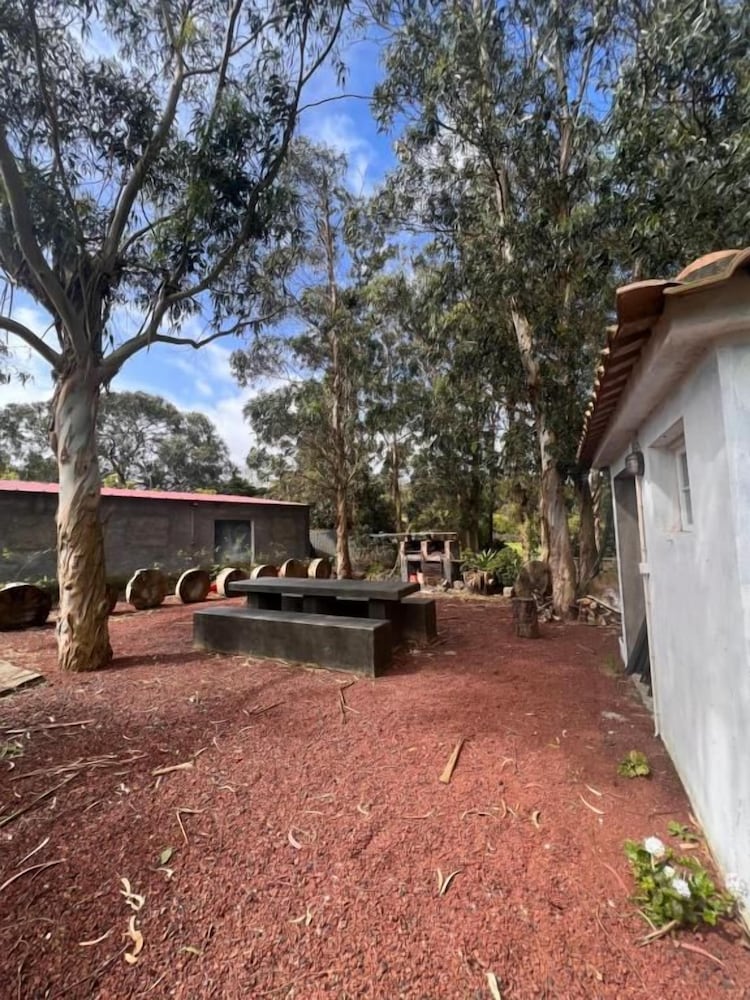Quinta De Santana 41/50