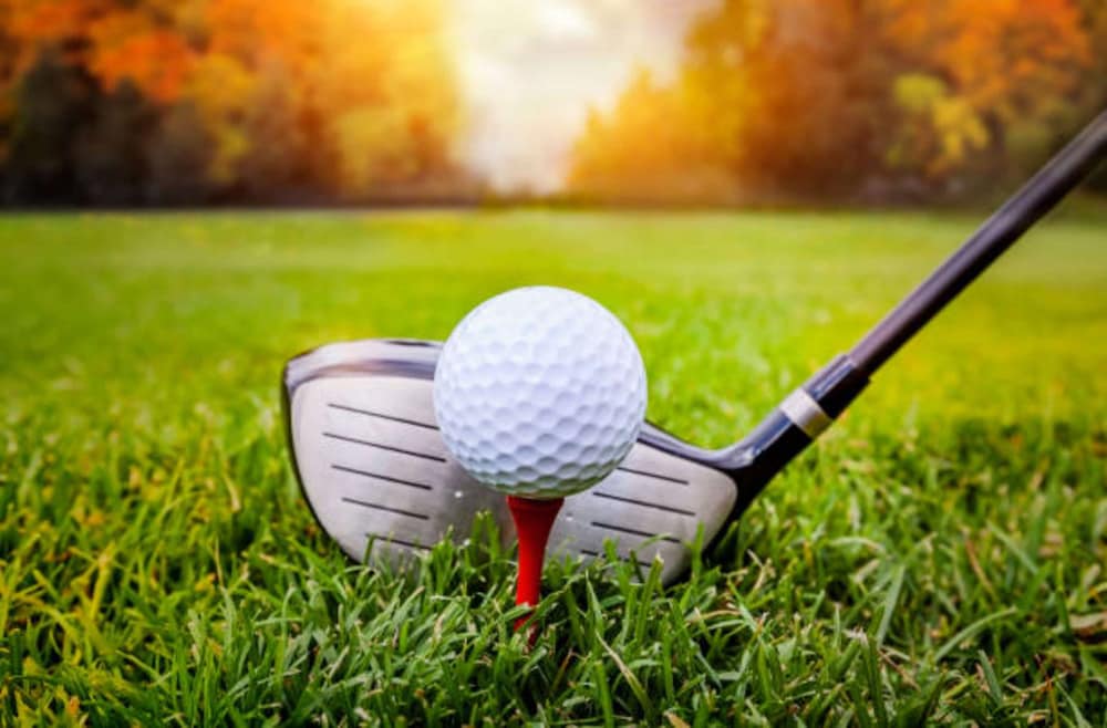 Radisson Golf Resort Pahalgam 56/61