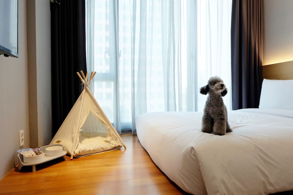 Hotel Peyto 28/62