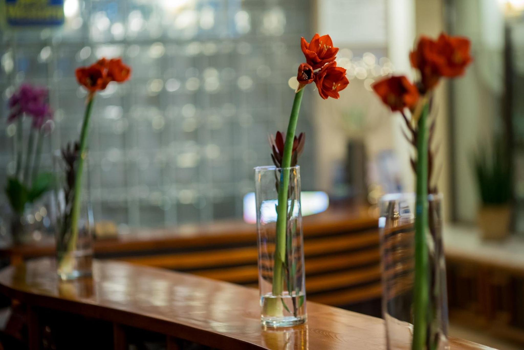 Best Western Hotel Park Sfantu Gheorghe 32/55