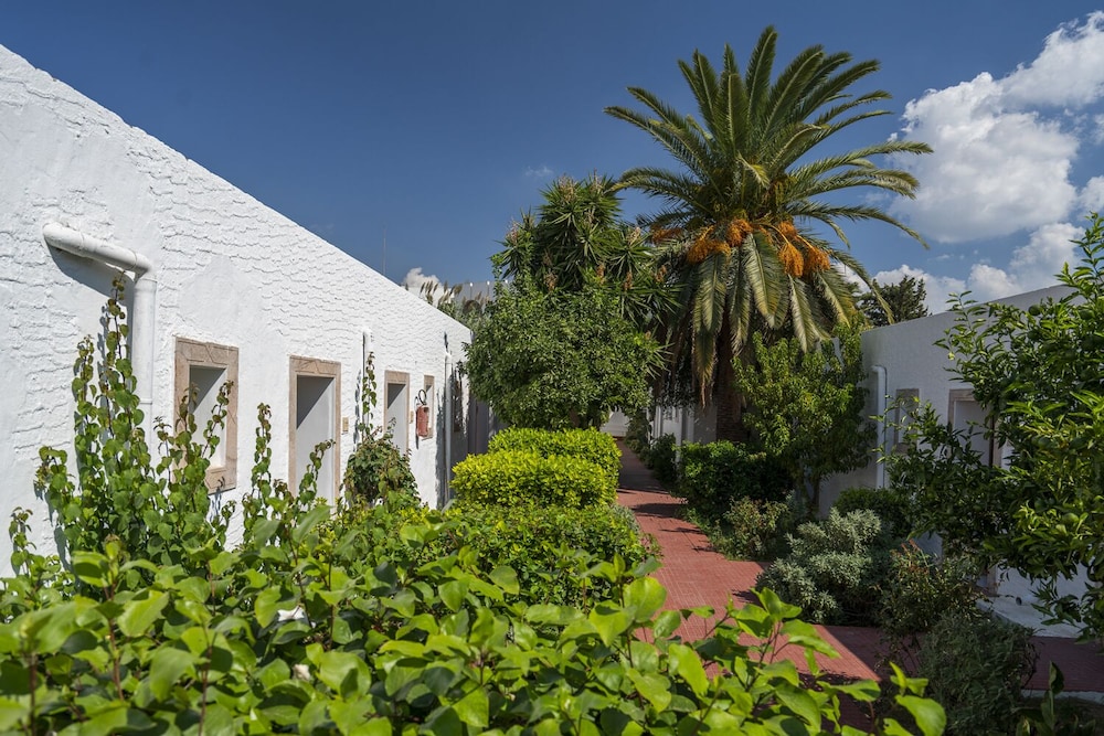Le Hammamet Hotel 39/43
