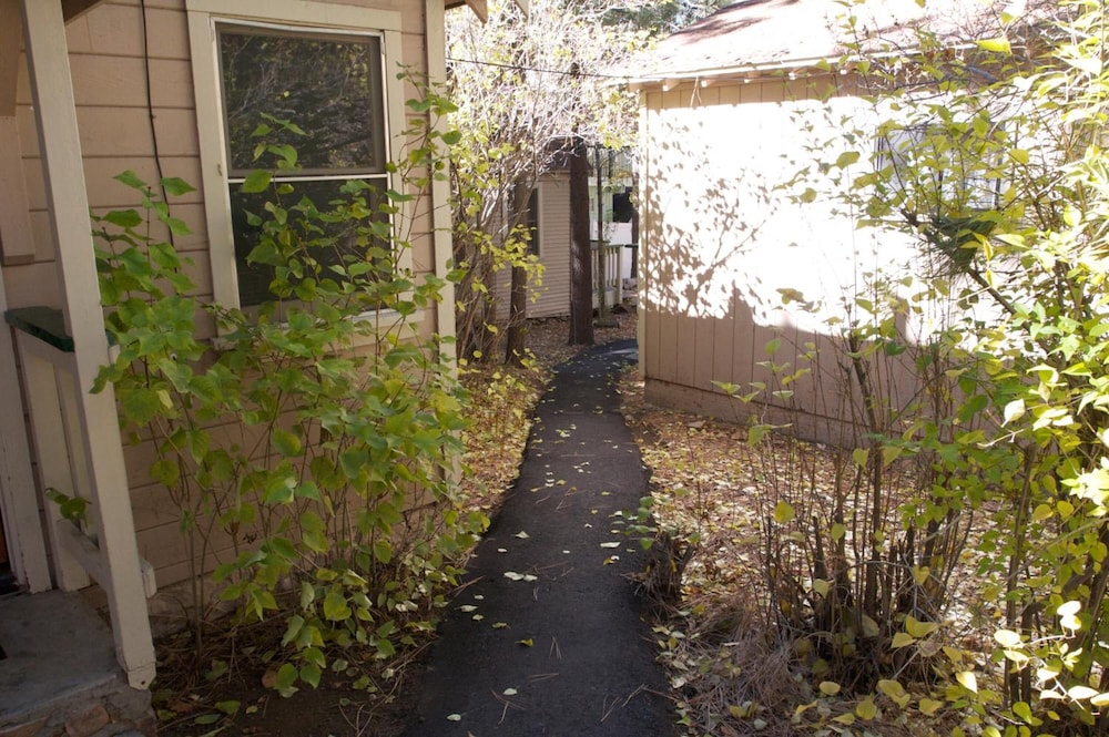 Sleepy Forest Cottages 58/65