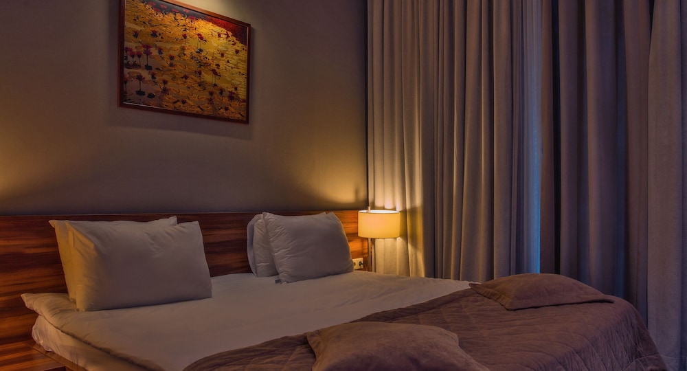 Avenue Hotel Baku 14/45