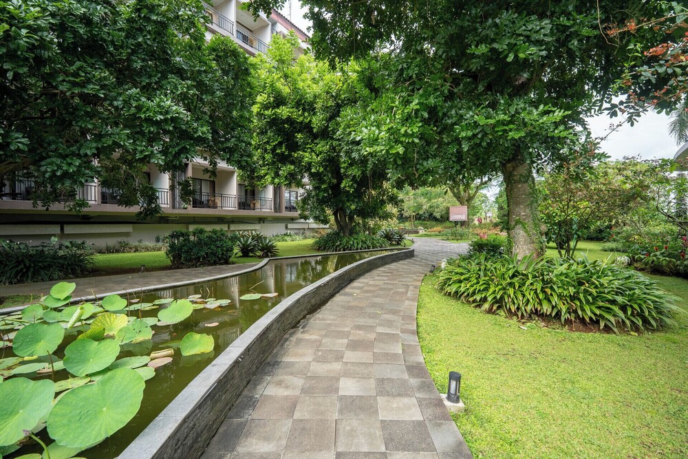 The Green Peak, ARTOTEL Curated 39/47