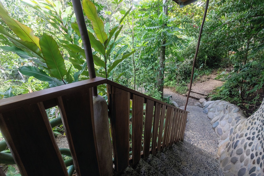 Hotel La Cusinga Eco Lodge 4/50