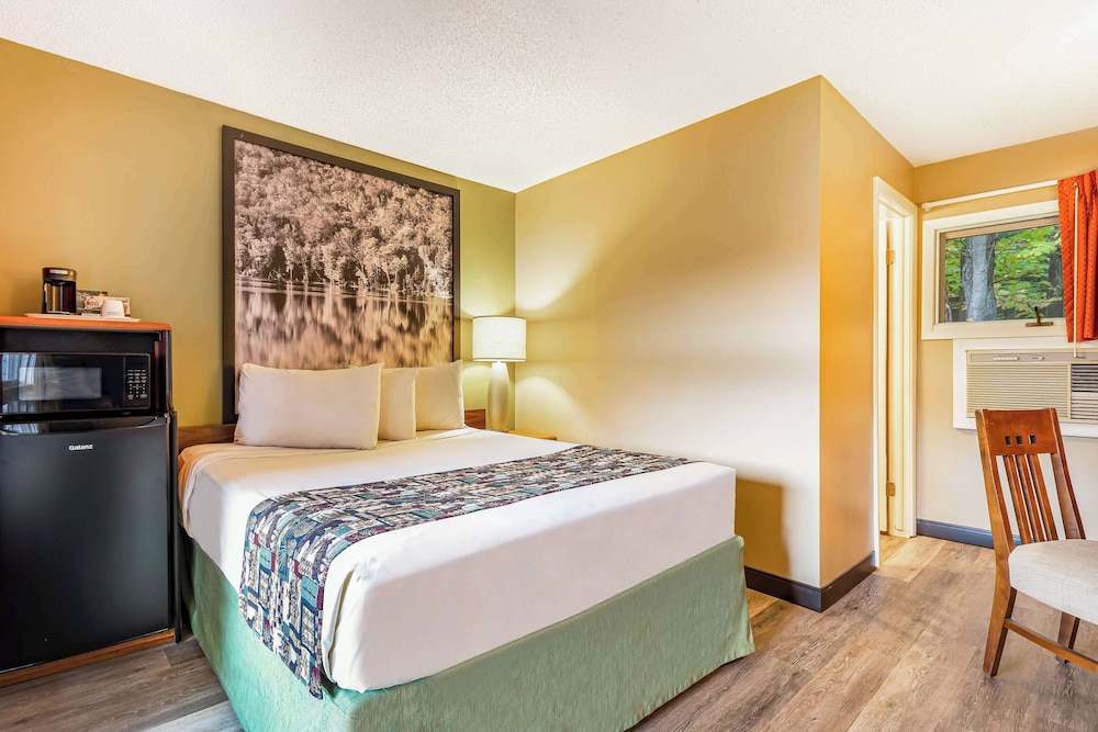 Room, Queen Bed, Pool View