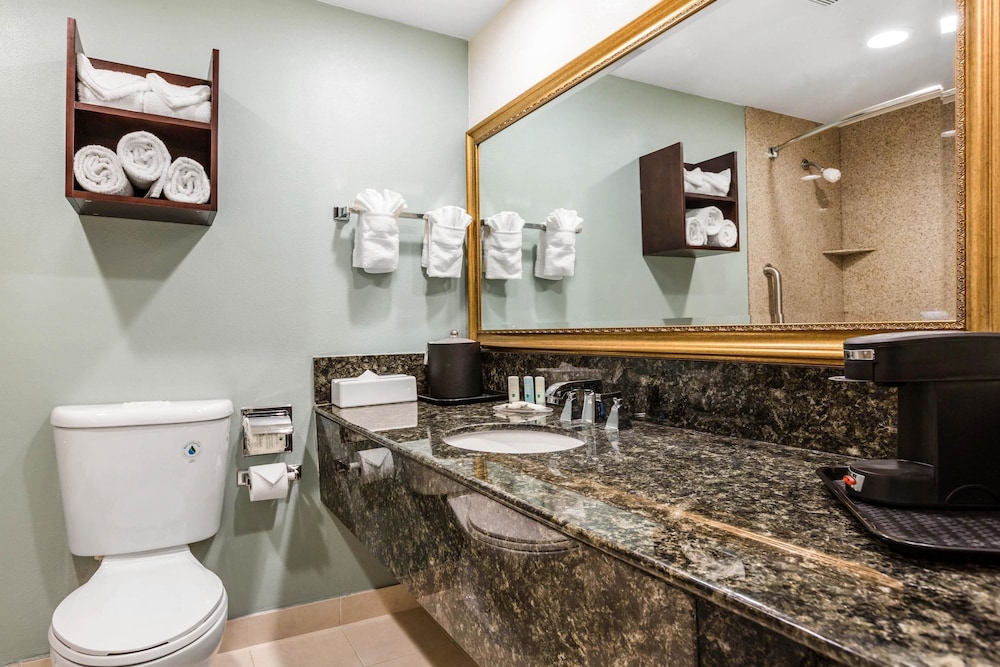 Comfort Inn & Suites Irvine Spectrum 23/49