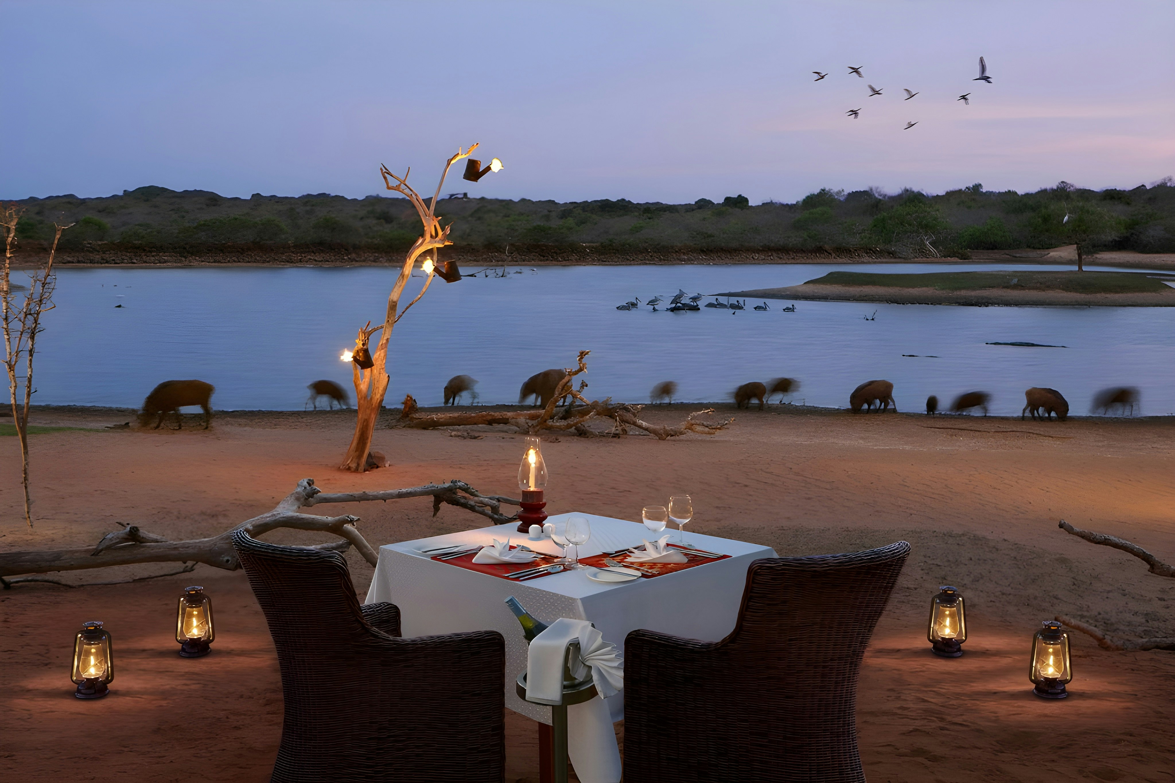 Cinnamon Wild Yala Hotel 4/9