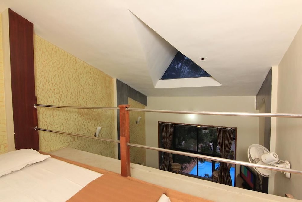 Mount View Executive 33/50