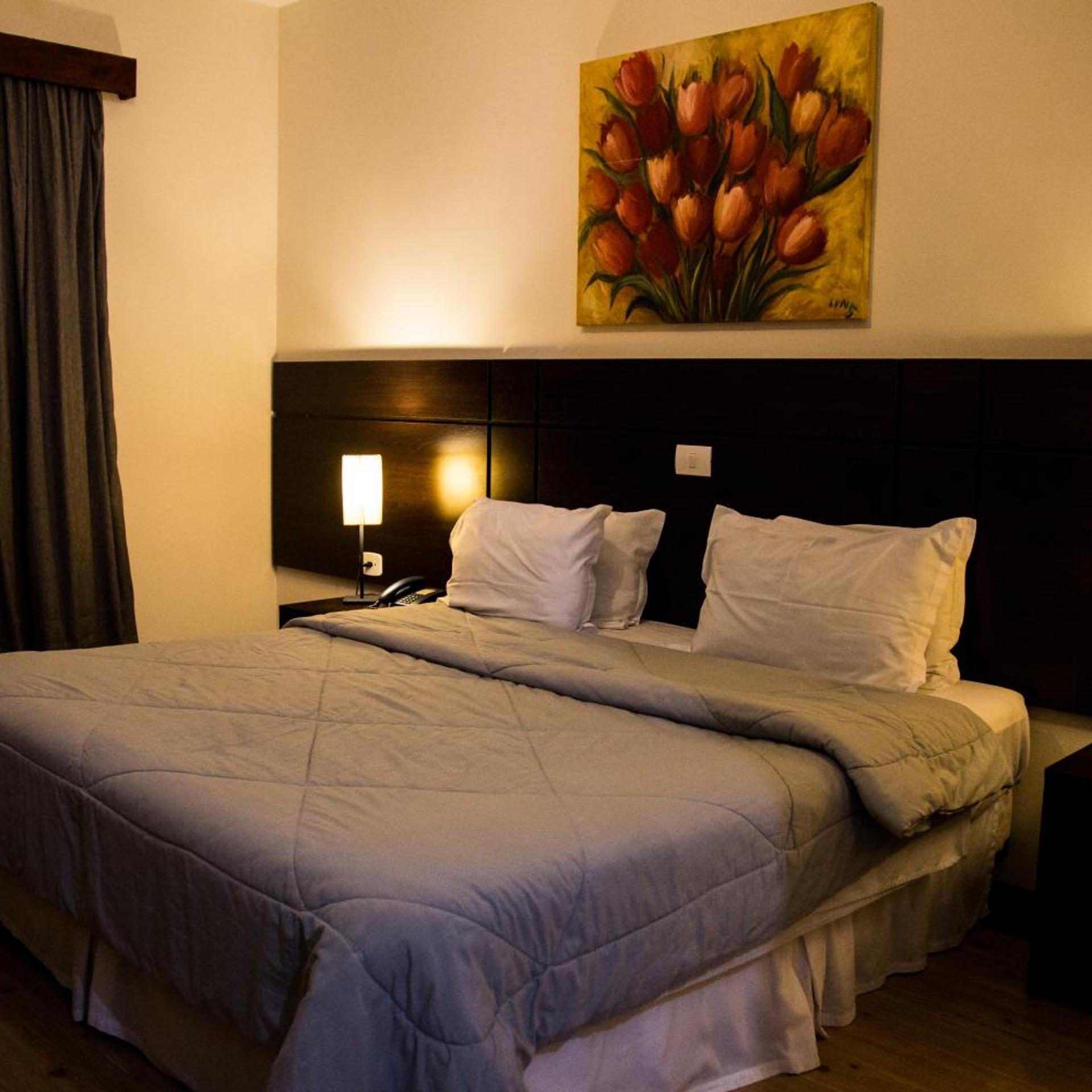 Hotel Brisa Rio 19/56