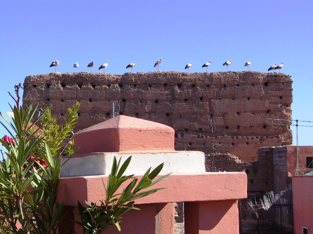 Riad el Farah 1/16