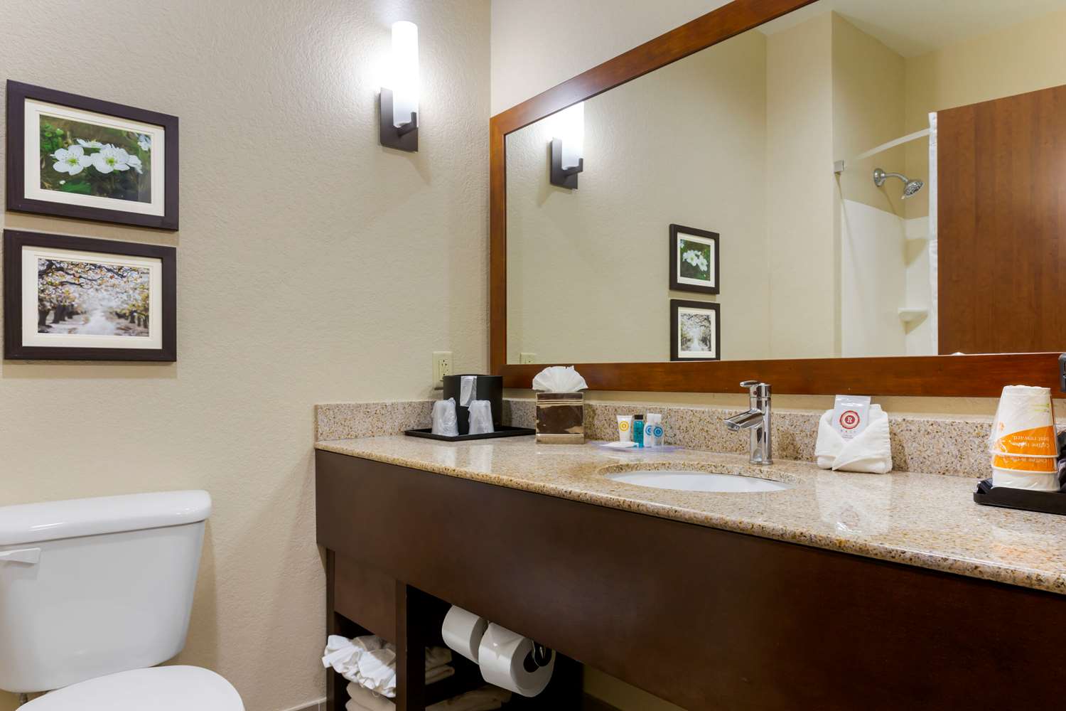 Comfort Suites Little Rock West 19/19