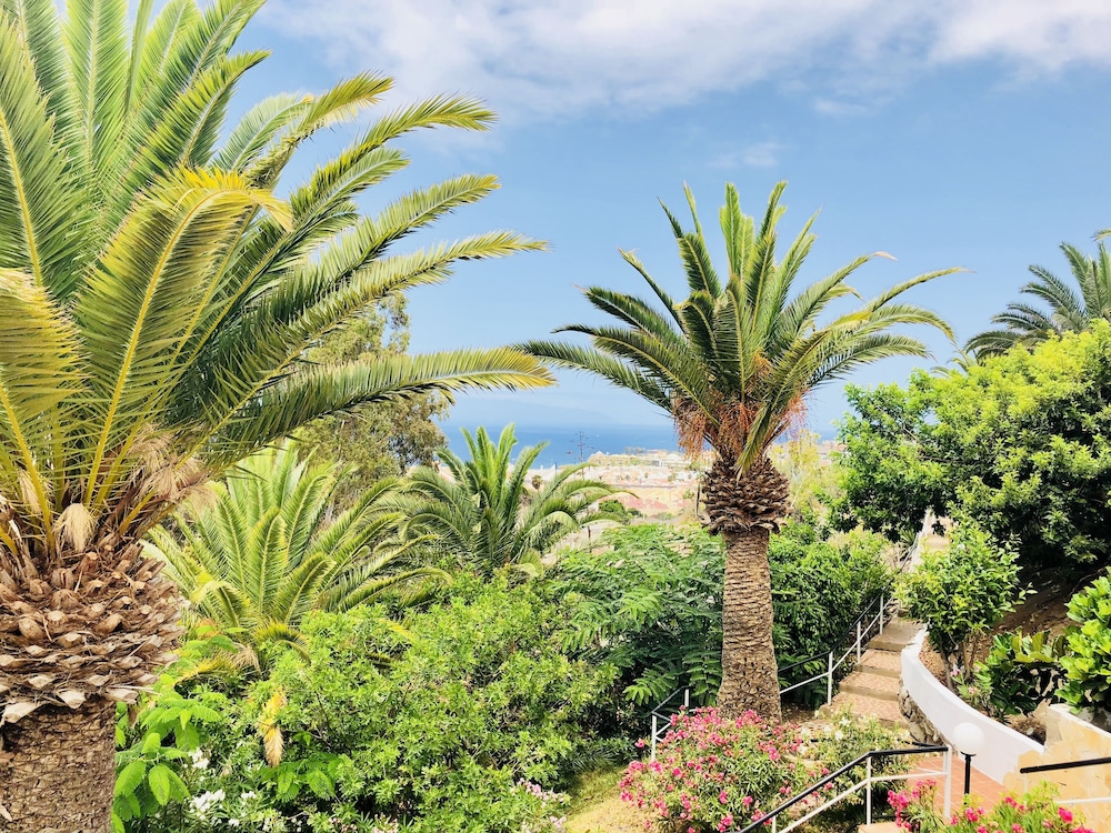 Regency Torviscas Apartments And Suites 61/63