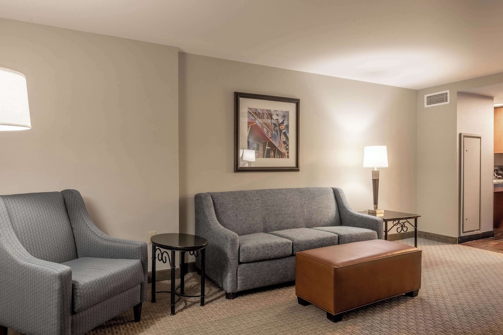 Drury Plaza Hotel Broadview Wichita 33/50