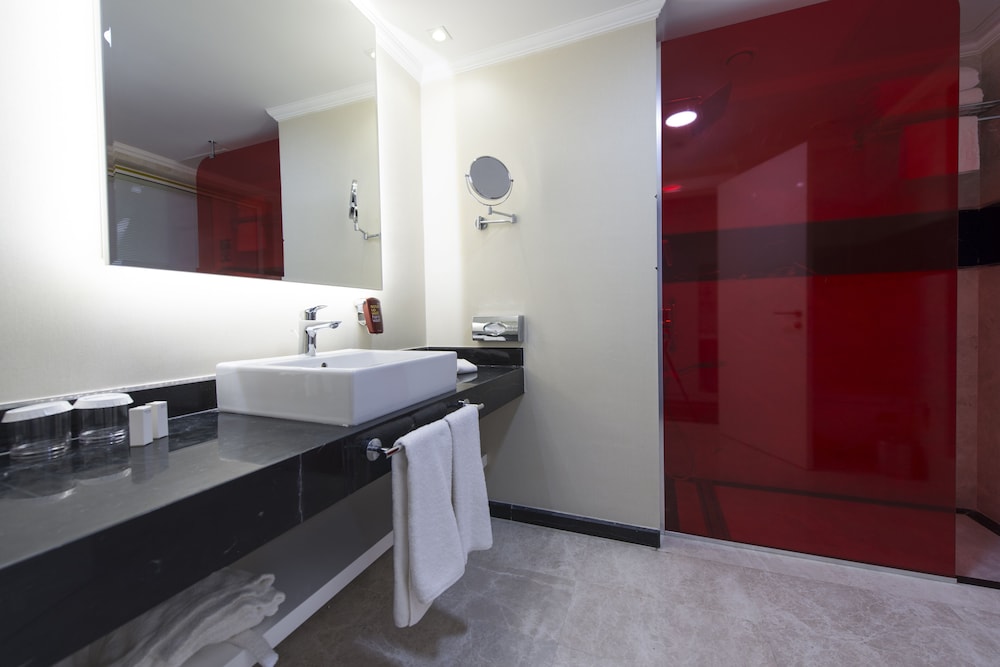 PARK INN BY RADISSON ANKARA CANKAYA 8/63