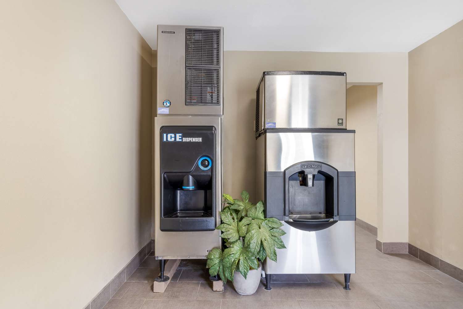 Best Western Near Lackland Afb/Seaworld 15/41