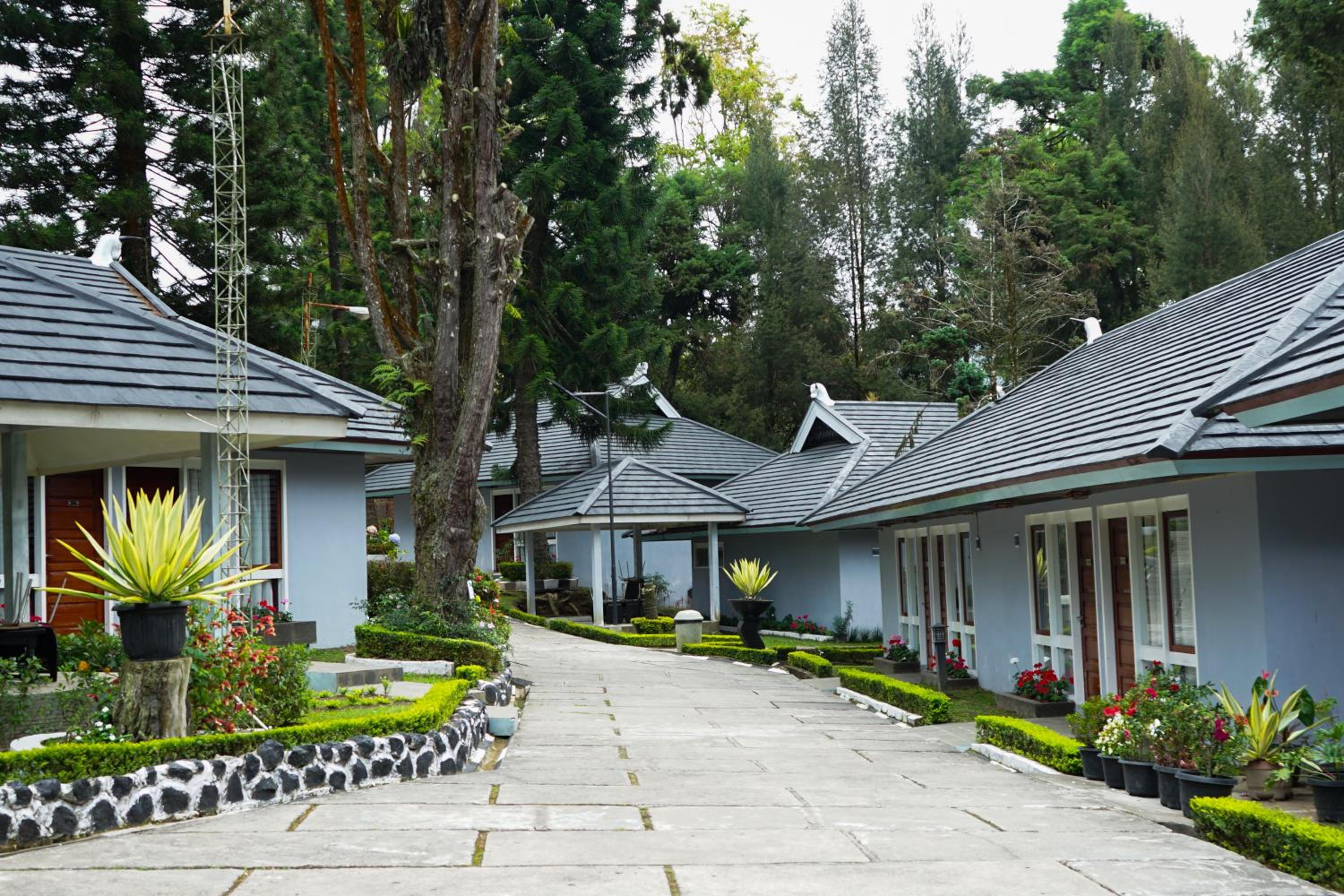 Rudang Berastagi Hotel and Resort 38/41