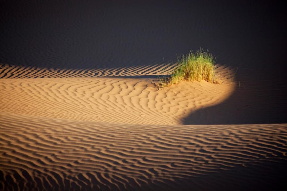 La Dune Blanche 41/48
