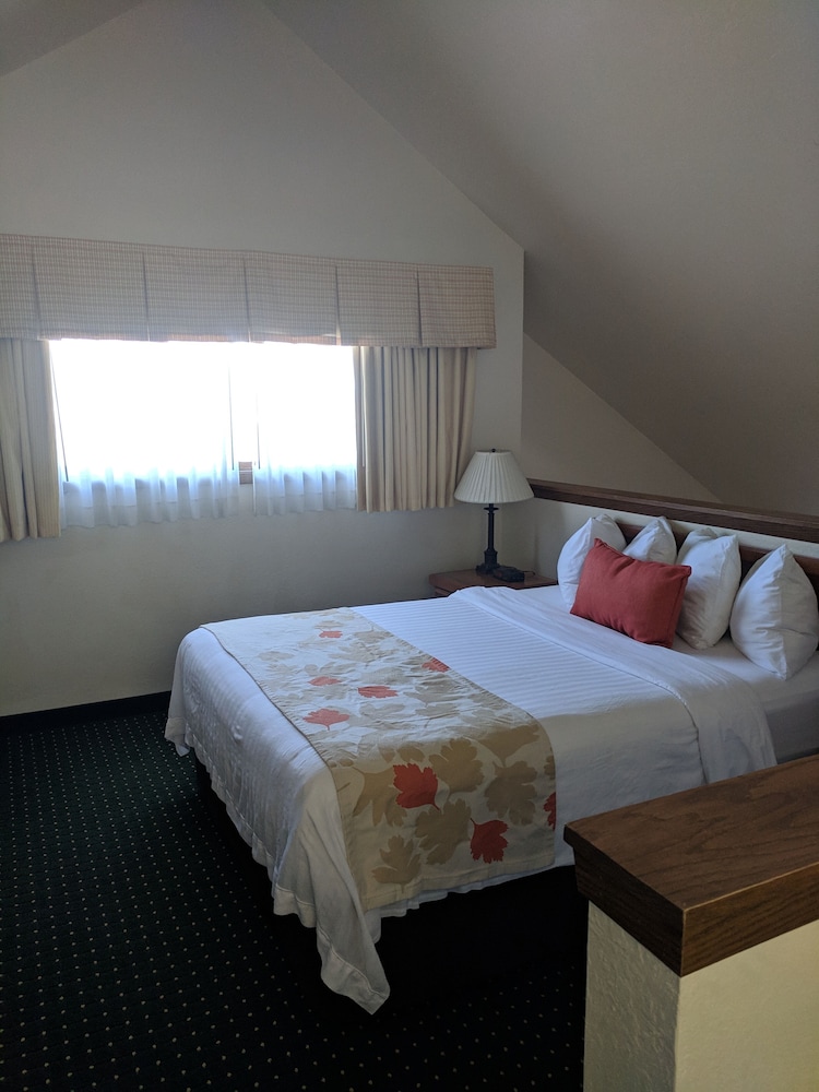 استوديو بسرير كوين لذوي الإعاقة، Hawthorn Suites by Wyndham Green Bay 2/4