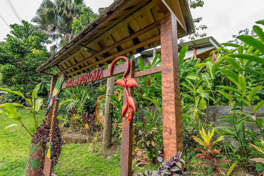Ara Ambigua Lodge 45/50