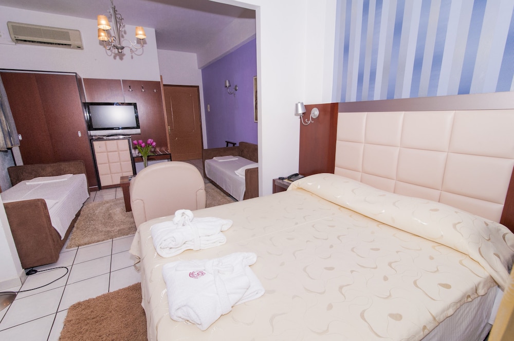 Krikonis Hotel Ioannina 4/50