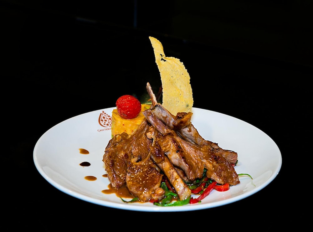 Ataol Can Termal Otel & Spa 22/48